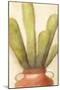 Potted Cactus 2-Kimberly Allen-Mounted Art Print