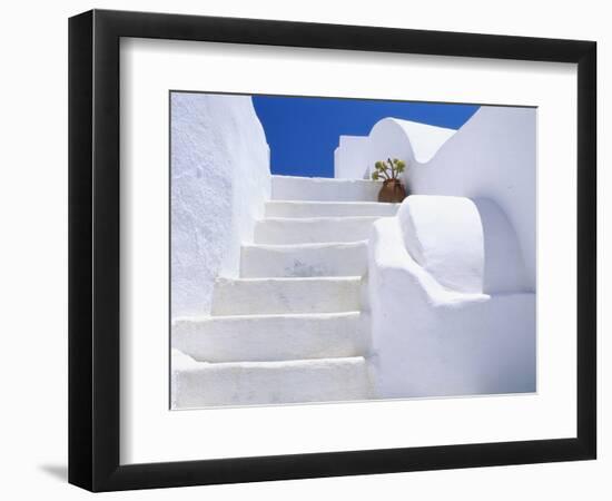 Potted Flowers On Staircase-Todd A. Gipstein-Framed Photographic Print