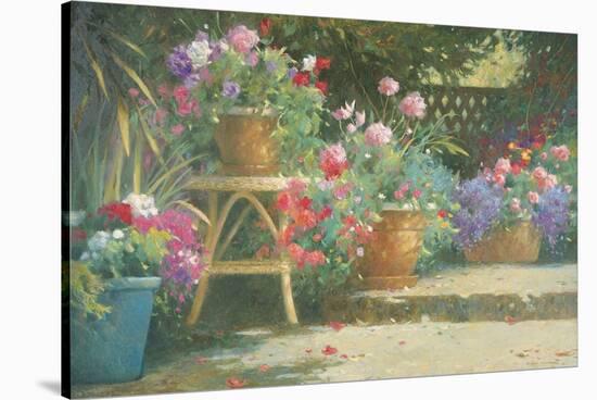 Potted Flowers-Allan Myndzak-Stretched Canvas