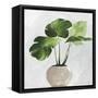 Potted Green Leaves-Asia Jensen-Framed Stretched Canvas