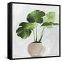 Potted Green Leaves-Asia Jensen-Framed Stretched Canvas