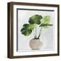 Potted Green Leaves-Asia Jensen-Framed Art Print