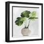 Potted Green Leaves-Asia Jensen-Framed Art Print