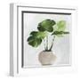 Potted Green Leaves-Asia Jensen-Framed Art Print