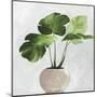 Potted Green Leaves-Asia Jensen-Mounted Art Print