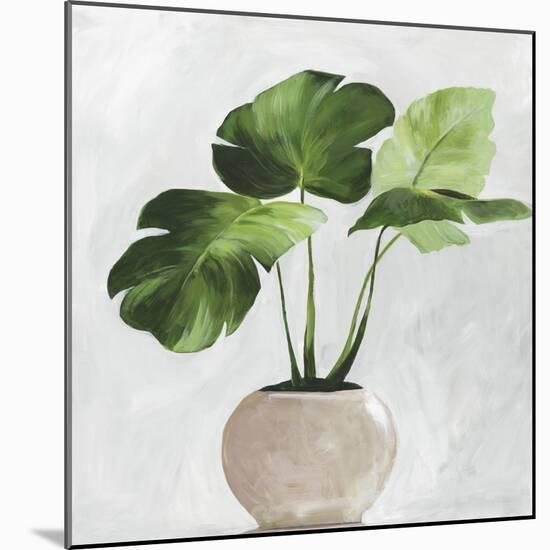 Potted Green Leaves-Asia Jensen-Mounted Art Print