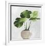 Potted Green Leaves-Asia Jensen-Framed Art Print