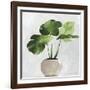 Potted Green Leaves-Asia Jensen-Framed Art Print