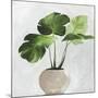 Potted Green Leaves-Asia Jensen-Mounted Art Print