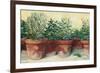 Potted Herbs I-Carol Rowan-Framed Art Print