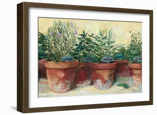 Potted Herbs I-Carol Rowan-Framed Premium Giclee Print