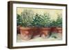 Potted Herbs I-Carol Rowan-Framed Premium Giclee Print