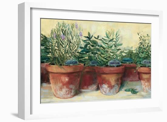 Potted Herbs I-Carol Rowan-Framed Premium Giclee Print