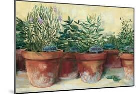 Potted Herbs I-Carol Rowan-Mounted Premium Giclee Print