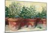 Potted Herbs I-Carol Rowan-Mounted Art Print