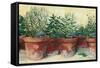 Potted Herbs I-Carol Rowan-Framed Stretched Canvas