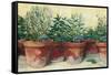 Potted Herbs I-Carol Rowan-Framed Stretched Canvas