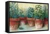 Potted Herbs II-Carol Rowan-Framed Stretched Canvas