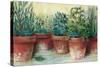 Potted Herbs II-Carol Rowan-Stretched Canvas