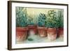 Potted Herbs II-Carol Rowan-Framed Art Print