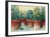 Potted Herbs II-Carol Rowan-Framed Art Print