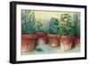 Potted Herbs II-Carol Rowan-Framed Art Print