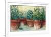 Potted Herbs II-Carol Rowan-Framed Art Print