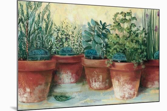 Potted Herbs II-Carol Rowan-Mounted Art Print