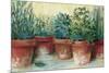 Potted Herbs II-Carol Rowan-Mounted Art Print