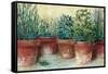 Potted Herbs II-Carol Rowan-Framed Stretched Canvas