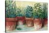 Potted Herbs II-Carol Rowan-Stretched Canvas