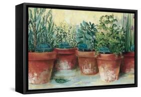 Potted Herbs II-Carol Rowan-Framed Stretched Canvas