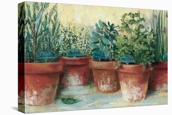 Potted Herbs II-Carol Rowan-Stretched Canvas