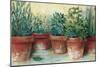 Potted Herbs II-Carol Rowan-Mounted Premium Giclee Print