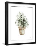 Potted Herbs-Katrina Pete-Framed Art Print