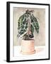 Potted Houseplant I-Jennifer Parker-Framed Art Print