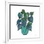 Potted Jewels I Aqua-Farida Zaman-Framed Art Print