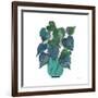 Potted Jewels I Aqua-Farida Zaman-Framed Art Print