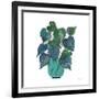 Potted Jewels I Aqua-Farida Zaman-Framed Art Print