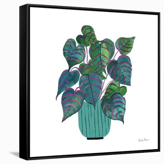 Potted Jewels I Aqua-Farida Zaman-Framed Stretched Canvas