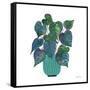 Potted Jewels I Aqua-Farida Zaman-Framed Stretched Canvas