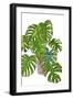 Potted Jungle I-Melissa Wang-Framed Art Print