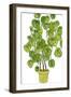 Potted Jungle II-Melissa Wang-Framed Art Print