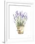 Potted Lavender-Katrina Pete-Framed Art Print