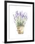 Potted Lavender-Katrina Pete-Framed Art Print