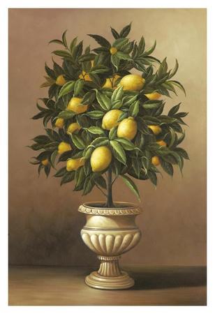 Welby ''Potted Orange Tree'' Gallery Wrapped Canvas 12X18 