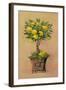 Potted Lemons-Barbara Mock-Framed Giclee Print