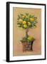 Potted Lemons-Barbara Mock-Framed Giclee Print