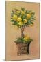 Potted Lemons-Barbara Mock-Mounted Giclee Print