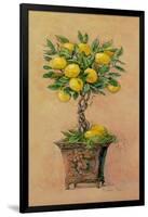 Potted Lemons-Barbara Mock-Framed Giclee Print